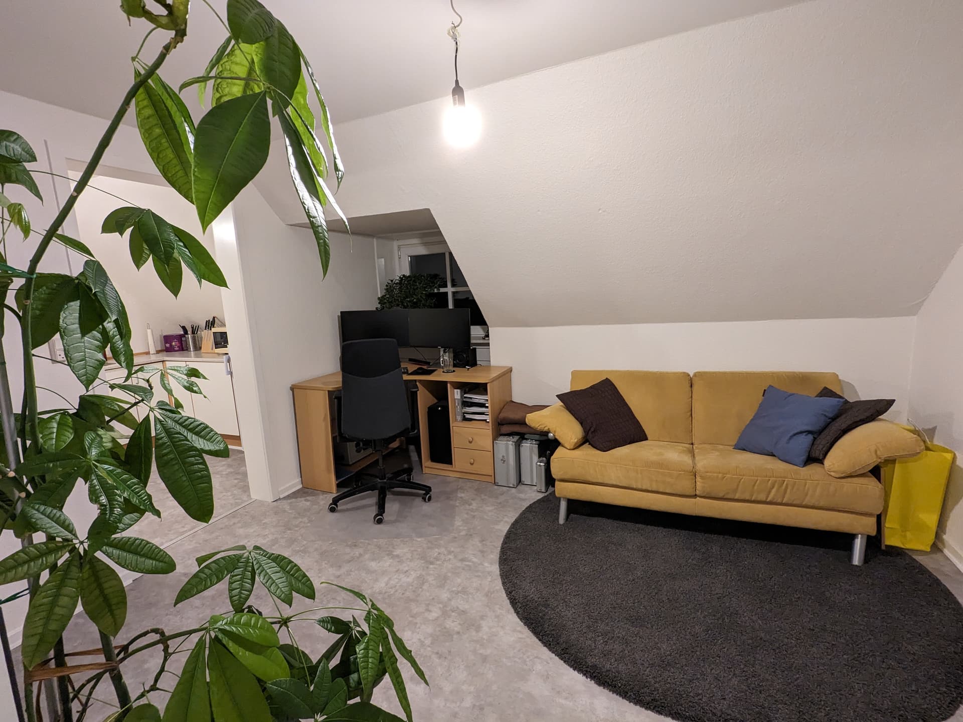 My office